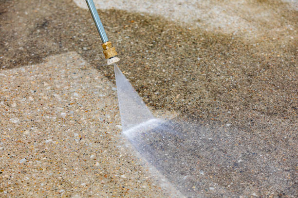 Best Sidewalk and Walkway Cleaning  in Magna, UT